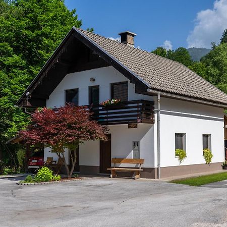 Apartma Pri Lipi Бохинь Экстерьер фото